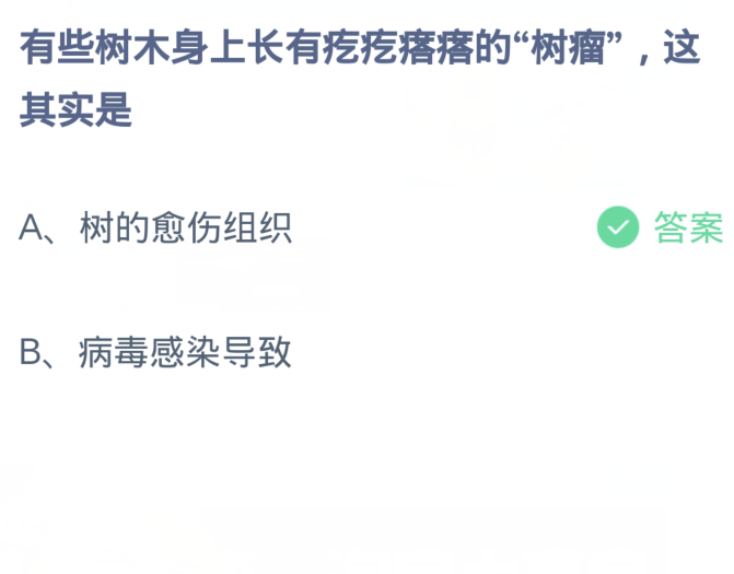 蚂蚁庄园1月3日：有些树木身上长有疙疙瘩瘩的树瘤这其实是[图2]