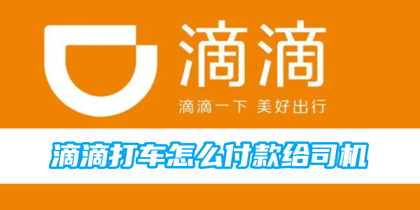 滴滴打车怎么付款给司机[图1]
