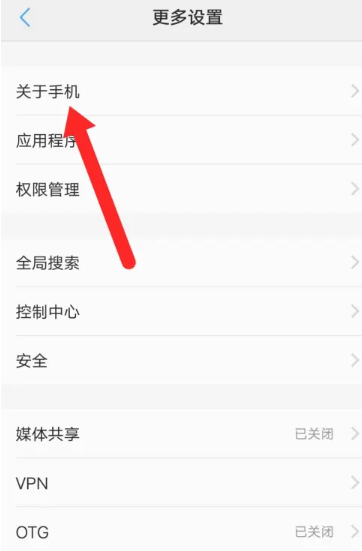vivo手机怎样看型号[图4]