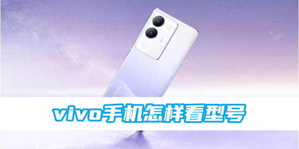 vivo手机怎样看型号[图1]