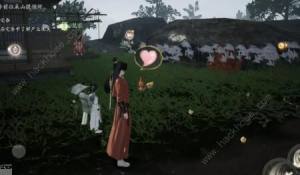 云射雕小动物地点大全 所有动物位置坐标一览[图5]