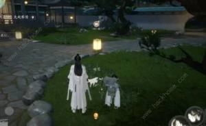 云射雕小动物地点大全 所有动物位置坐标一览[图7]