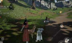 云射雕小动物地点大全 所有动物位置坐标一览[图4]