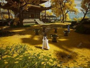 云射雕五蕴灯位置大全 无定坊五蕴灯收集及任务完成攻略[图6]