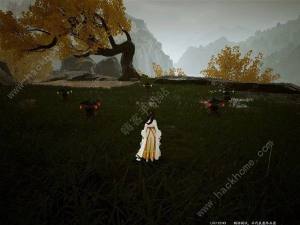 云射雕五蕴灯位置大全 无定坊五蕴灯收集及任务完成攻略[图8]