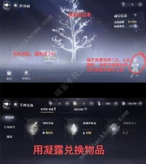 世界之外世界树果实有什么用 世界树果实培养详解[图2]