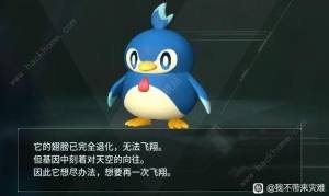 幻兽帕鲁企丸丸吃什么 企丸丸特性进化攻略[图8]