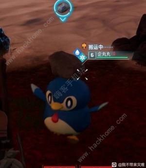 幻兽帕鲁企丸丸吃什么 企丸丸特性进化攻略[图12]