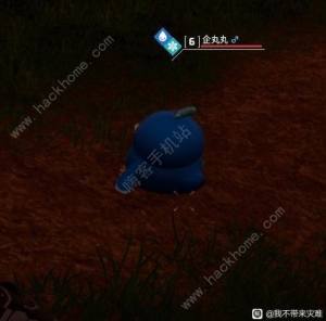 幻兽帕鲁企丸丸吃什么 企丸丸特性进化攻略[图15]