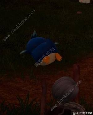 幻兽帕鲁企丸丸吃什么 企丸丸特性进化攻略[图13]