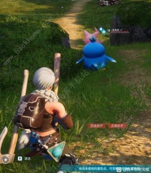 幻兽帕鲁企丸丸吃什么 企丸丸特性进化攻略[图9]