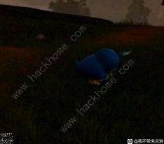 幻兽帕鲁企丸丸吃什么 企丸丸特性进化攻略[图14]