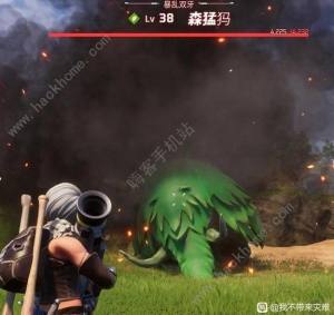 幻兽帕鲁企丸丸吃什么 企丸丸特性进化攻略[图4]