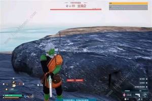 幻兽帕鲁怎么越级抓空涡龙 无伤抓空涡龙教程[图9]