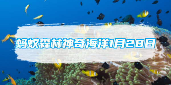 蚂蚁森林神奇海洋1月28日：世界最大的中华白海豚种群栖息地在哪里[图1]