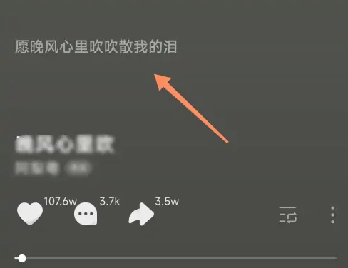 汽水音乐怎么看歌词[图3]