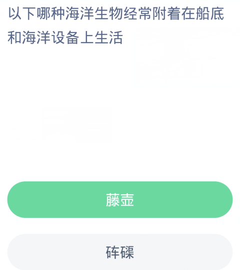 蚂蚁森林神奇海洋1月30日：以下哪种海洋生物经常附着在船底和海洋设备上生活[图2]