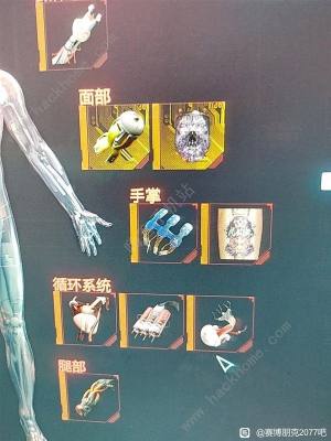 赛博朋克2077钝器流怎么配装 钝器流配装搭配推荐[图5]