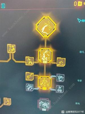 赛博朋克2077钝器流怎么配装 钝器流配装搭配推荐[图11]