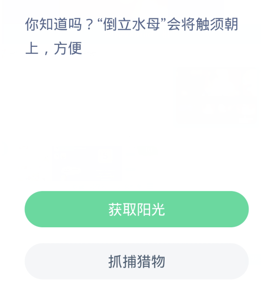 蚂蚁森林神奇海洋2月21日：倒立水母会将触须朝上方便[图2]