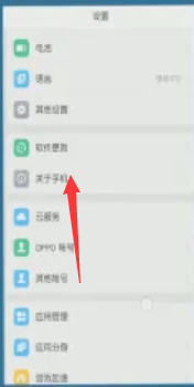 oppo手机开发者选项在哪里打开[图2]