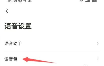 嗲嗲语音导航怎么设置[图4]