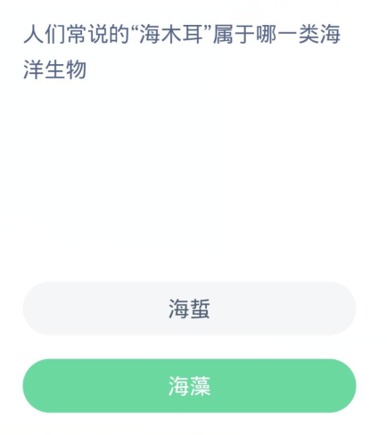 蚂蚁森林神奇海洋3月10日：人们常说的海木耳属于哪一类海洋生物[图2]