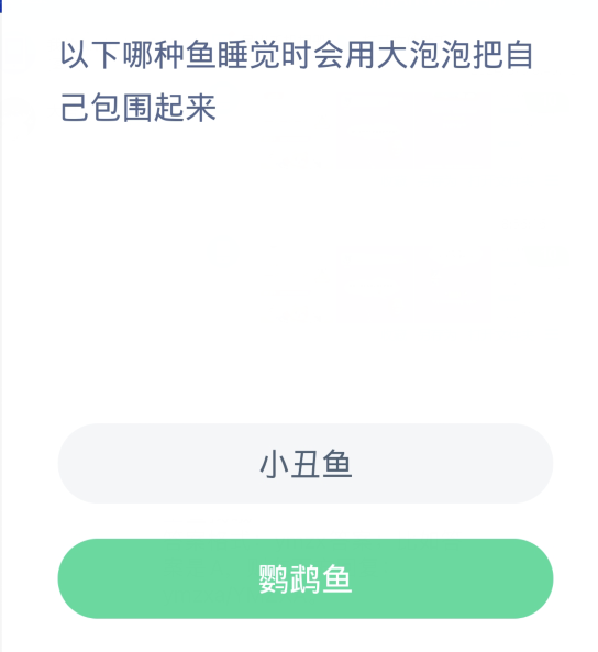 蚂蚁森林神奇海洋3月11日：以下哪种鱼睡觉时会用大泡泡把自己包围起来[图2]