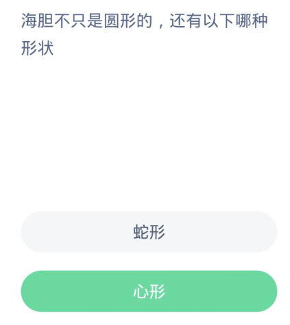 蚂蚁森林神奇海洋3月17日：海胆不只是圆形的还有以下哪种形状[图2]