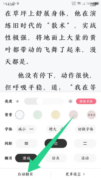 树莓阅读怎么自动翻页[图4]