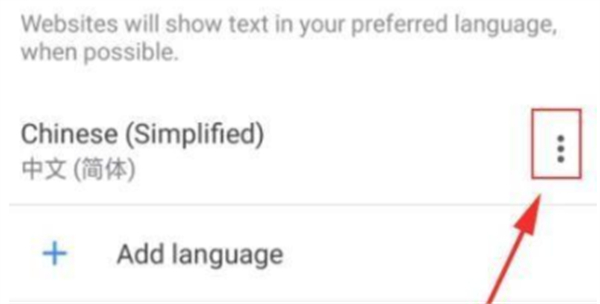 手机谷歌浏览器怎么设置中文[图5]