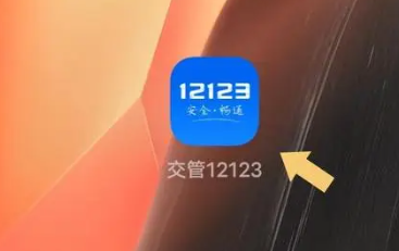 交管12123拍照功能在哪[图2]