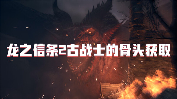龙之信条2古战士的骨头获取[图1]