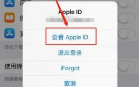 appstore扣款在哪里看[图5]