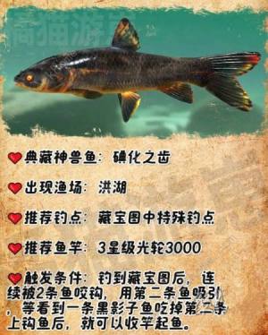 欢乐钓鱼大师典藏神兽鱼有哪些 典藏神兽鱼钓取触发技巧详解[图2]