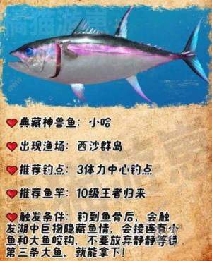 欢乐钓鱼大师典藏神兽鱼有哪些 典藏神兽鱼钓取触发技巧详解[图3]