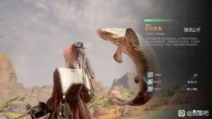 剑星1.0版光盘怎么开二周目 1.0版光盘二周目解锁攻略[图2]