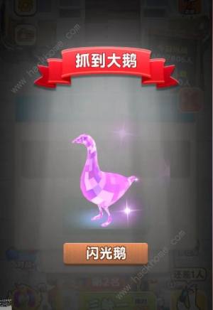 抓大鹅游戏兑换码大全 最新可用礼包码分享[图2]