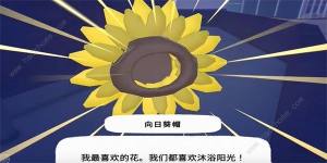 小猫咪大城市向日葵帽在哪 向日葵帽收集位置攻略[图7]
