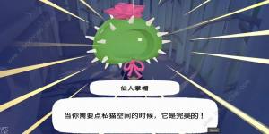 小猫咪大城市仙人掌帽在哪 仙人掌帽收集位置攻略[图1]