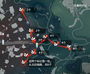 鸣潮妙弋花采集位置路线大全 妙弋花高效收集点一览[图1]
