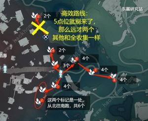 鸣潮妙弋花采集位置路线大全 妙弋花高效收集点一览[图2]