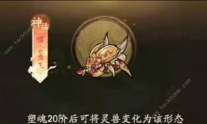 寻道大千噬金虫属性是什么 噬金虫技能属性详解[图1]