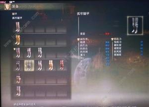 艾尔登法环幽影之地重要物品在哪 DLC幽影之地重要道具收集点分享[图14]