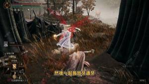 艾尔登法环黄金树之影DLC轮椅流怎么玩 DLC轮椅流搭配实战详解[图2]