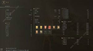 艾尔登法环黄金树之影DLC力信战士开荒攻略 DLC力信战士装备怎么选[图4]