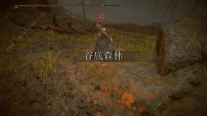艾尔登法环DLC癫火调香瓶在哪 癫火调香瓶获取攻略[图17]