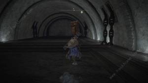 艾尔登法环DLC黑暗剑怎么得 黄金树之影DLC黑暗剑获取位置详解[图10]