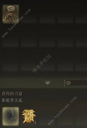 艾尔登法环DLC强力特大武器有哪些 DLC特大武器最强力推荐[图3]