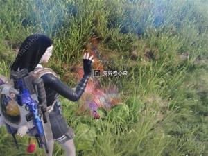 七日世界变异植物怎么得 变异植物获取攻略[图2]